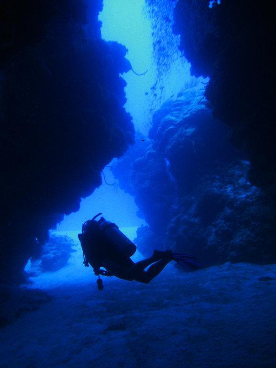 Beachouse Dive Hostel Cozumel Exterior photo