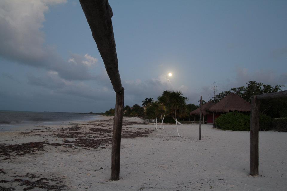 Beachouse Dive Hostel Cozumel Exterior photo