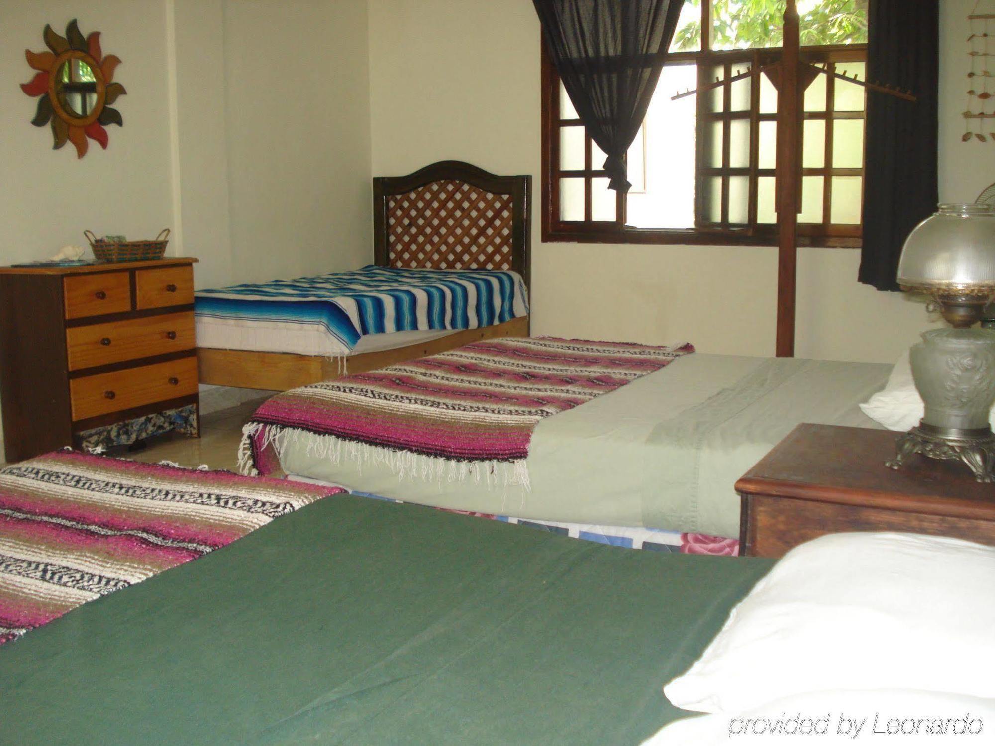 Beachouse Dive Hostel Cozumel Room photo
